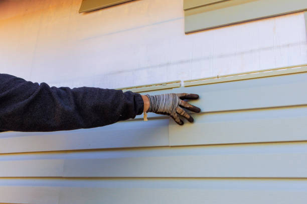 Best Custom Trim and Detailing for Siding  in Blue Mound, IL